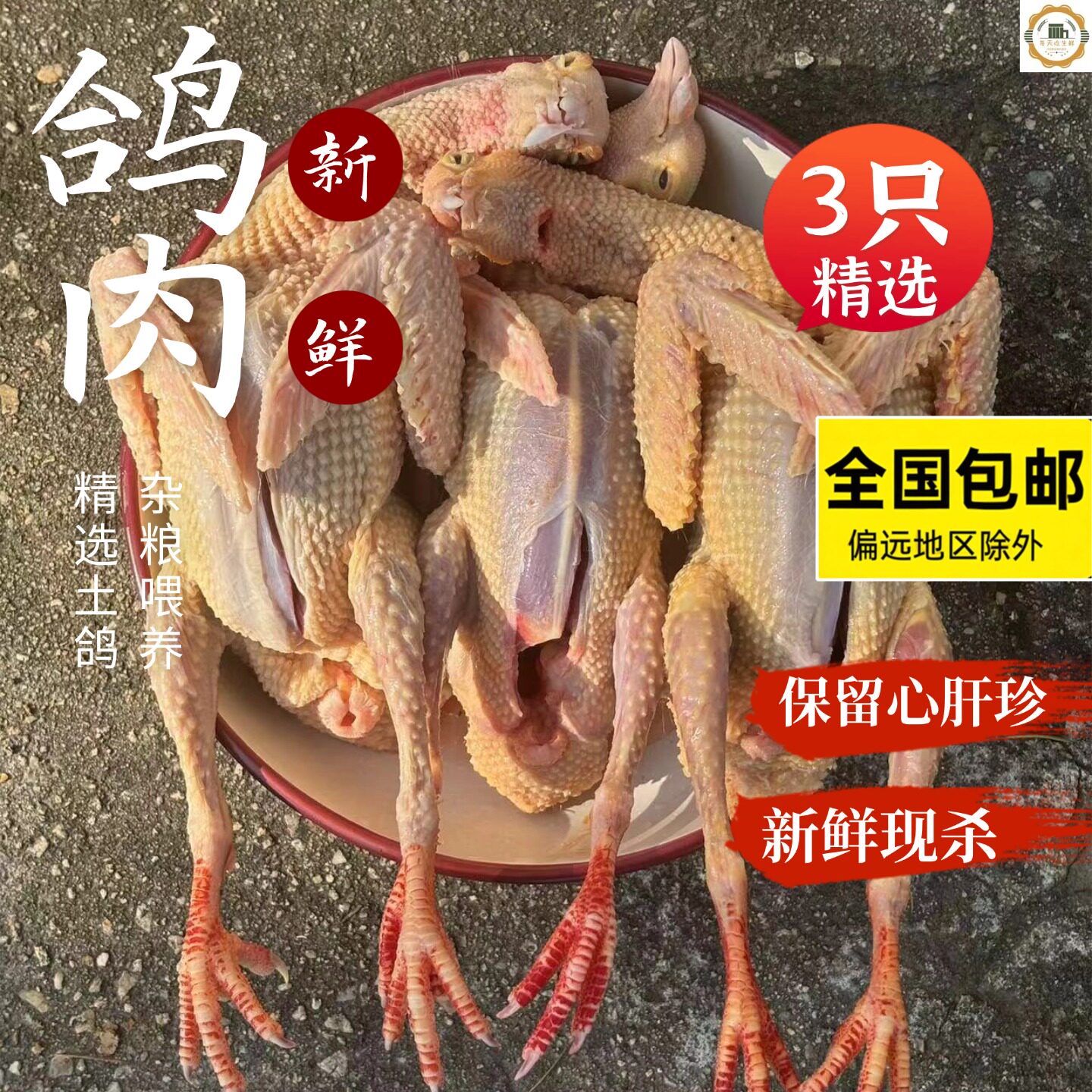 湖北土鸽子新鲜现杀3只装农家杂粮散养老鸽子/乳鸽子肉炖煲汤
