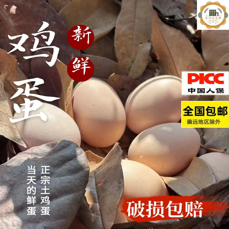 土鸡蛋+山林散养+无激素