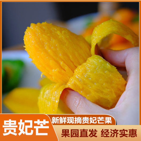 广西贵妃芒南方应季水果芒果水果南宁春季时令热带新鲜特产包邮