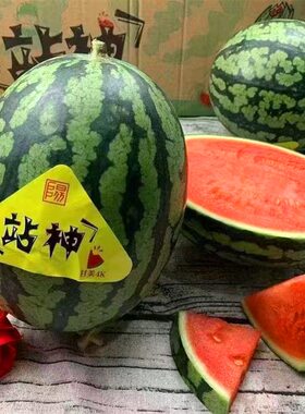 新鲜包邮正宗特级广西南宁战神甘美4K西瓜当季新鲜现摘时令水果