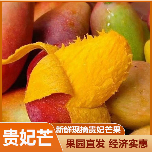 树上熟贵妃芒果水果礼盒广西南宁红金龙芒果整箱发货包邮