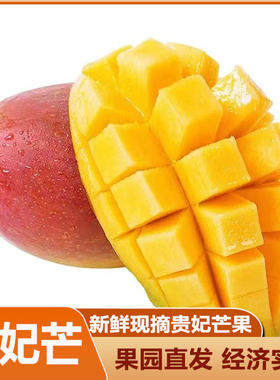 广西百色贵妃芒果香甜新鲜当季孕妇甜水果整箱树上熟红金龙辣椒忙