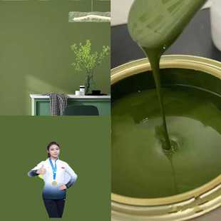 自刷涂料墙面漆军绿色防水乳胶漆招牌店铺客厅牛油果绿色水性漆