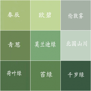 绿色深绿浅绿外墙防水耐候乳胶漆家装 翻新迷彩房建筑水性墙面油漆