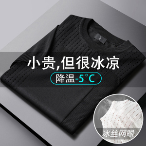 高品质夏款男短袖T恤针织衫网眼透气T恤衫大码M-4XL T013 P40图片