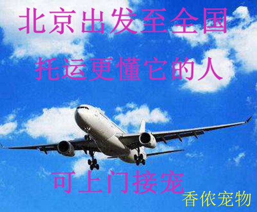 北京始发宠物托运服务 猫狗运输 客车火车 空运 十年老店