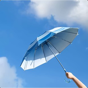 追光者雨伞 光遇大伞徽章NFC可扫描黑色透明大伞勋章现货全新未拆