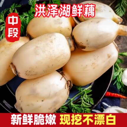 莲藕新鲜洪泽湖特产嫩藕脆藕生吃炒藕非藕带凉拌自家种植现挖现发