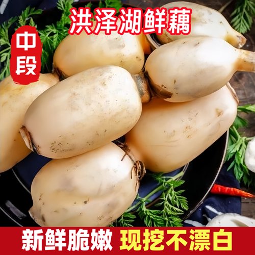 莲藕新鲜洪泽湖特产嫩藕脆藕生吃炒藕非藕带凉拌自家种植现挖现发