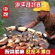 新鲜农家现挖嫩莲藕当季 新藕洪泽湖九孔白莲藕炒菜凉拌做馅料炖汤