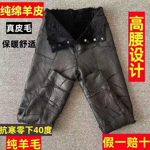 皮毛一体羊皮裤秋冬季新款男女士防风加厚保暖羊剪绒羊毛裤子