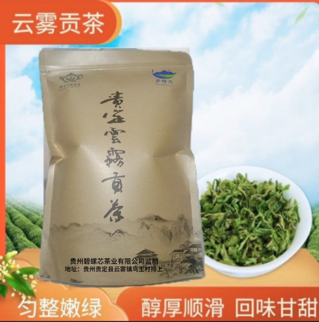 2024新茶贵州绿茶贵定云雾贡茶明前新鲜采摘野生特种绿茶500g袋装