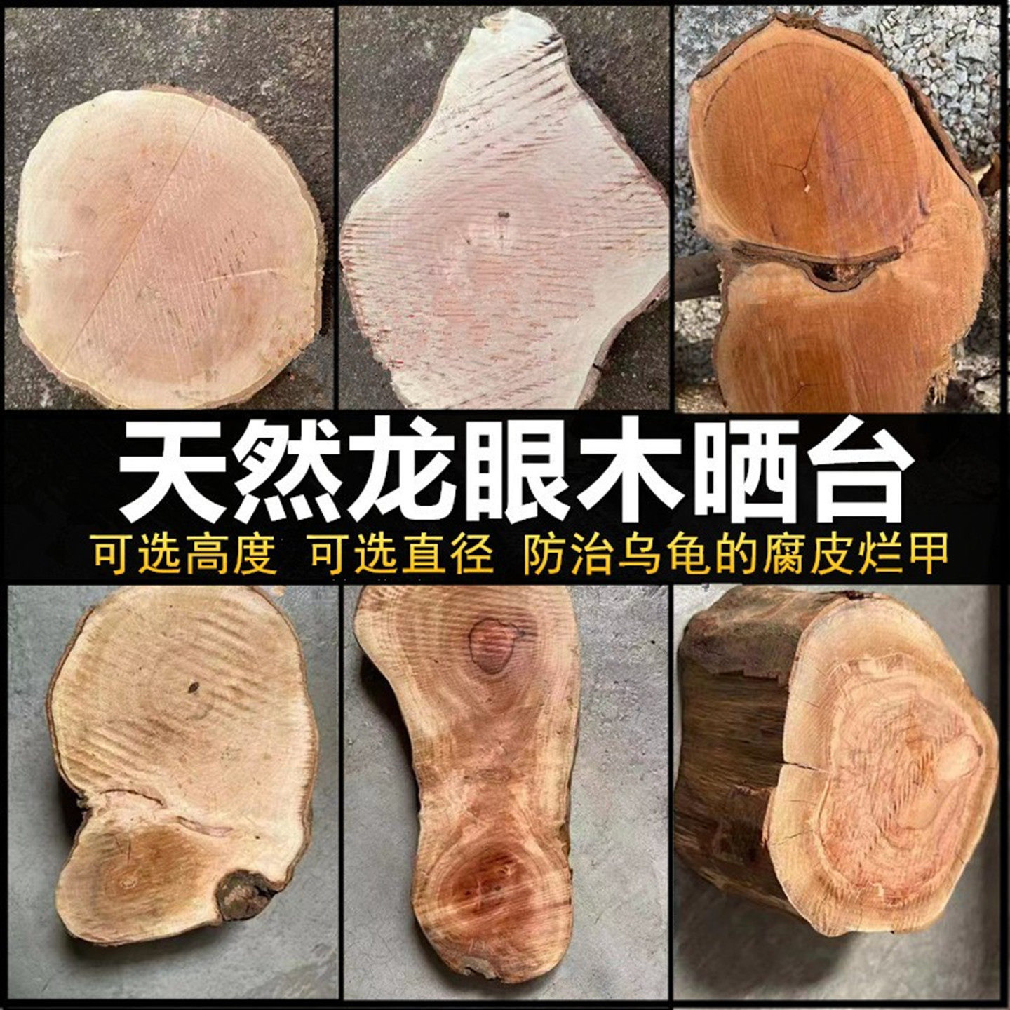 龙眼木晒台乌龟用品休息爬台树脏图片