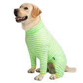 狗 通用秋田金毛拉布拉多条纹网纱防掉毛 衣服 四季 大狗四脚衣薄款