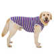 背心狗防晒衣服 金毛萨摩中型大型犬宠物狗狗夏季 大狗衣服夏装 薄款
