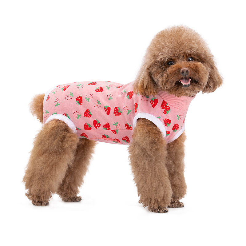 小狗春夏薄款护肚背心防着凉宠物包肚贵宾博美母狗手术绝育断奶服,宠物/宠物食品及用品,狗宠物服装/雨衣,淘宝优惠券,粉丝福利购,淘宝优惠卷