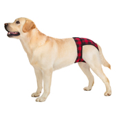 狗狗防骚扰大狗卫生安全裤 宠物生理裤 金毛边牧中大型犬母狗月经裤