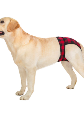 宠物生理裤金毛边牧中大型犬母狗月经裤狗狗防骚扰大狗卫生安全裤