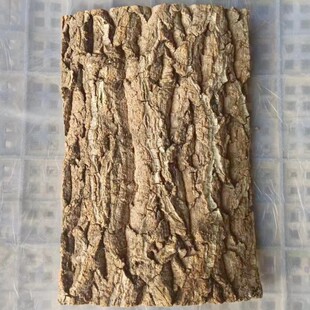纯天然软木树皮香槟爬宠鱼缸造景园艺绿植板植装饰贴墙面背景树皮