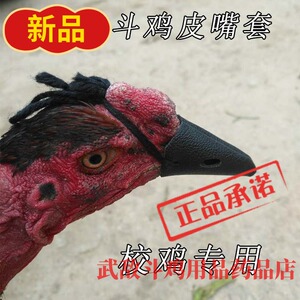 斗鸡 斗鸡用品 斗鸡训练护具 斗鸡嘴套 斗鸡皮嘴套 斗鸡训练用品