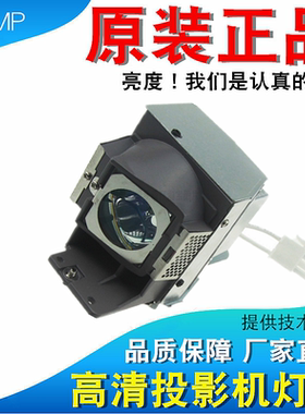 优派RLC-110 PA505W VS16963 VS16970 PX725HD VS16971 PJD6386 PJD6243 PX727HD VS17693 VS17692投影机灯泡