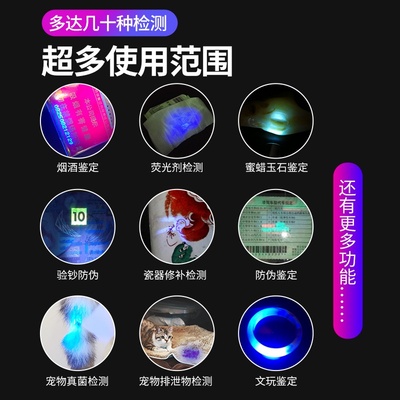 大功率伍德氏灯365nm紫外线灯验钞防伪鉴定专用检测猫癣黄曲霉菌
