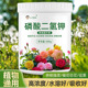 磷酸二氢钾肥料花卉专用水溶叶面肥盆栽种花有机肥植物生长调节剂