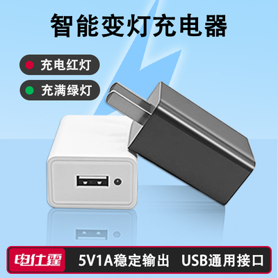 【电仕霆】正品5V1A智能变灯充电器蓝牙耳机随身wifi智能锁电话手表安卓老人手机通用1000mA小功率慢充电插头