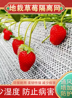 地栽草莓托果网草莓隔离网兜垫网白色遮阳网大棚草莓高架果托网