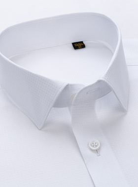 var高端DP免烫桑蚕丝白色男士长袖衬衫商务正装提花西装打底衫