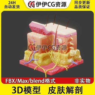 3D模型素材3Dmax文件医学结构皮肤解剖皮下组织腺体毛孔PBR材质