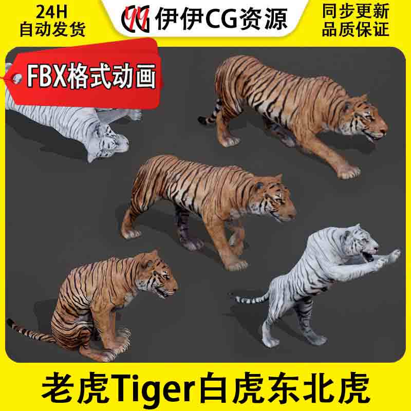 3DMax动物模型3D模型老虎Tiger白虎大老虎东北虎FBX动画文件3D