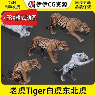 3DMax动物模型3D模型老虎Tiger白虎大老虎东北虎FBX动画文件3D