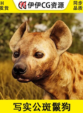 UE4虚幻5 Animalia - Spotted Hyena (male) 写实公斑鬣狗模型