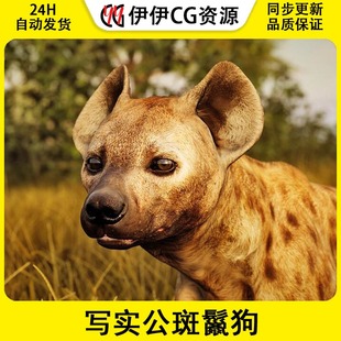 UE4虚幻5 Animalia - Spotted Hyena (male) 写实公斑鬣狗模型