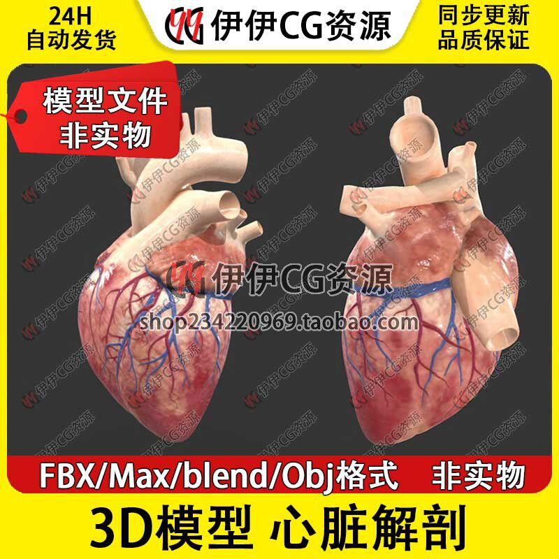 3D模型3Dmax医学人体心脏解剖blend心血管结构文件FBX心房Heart