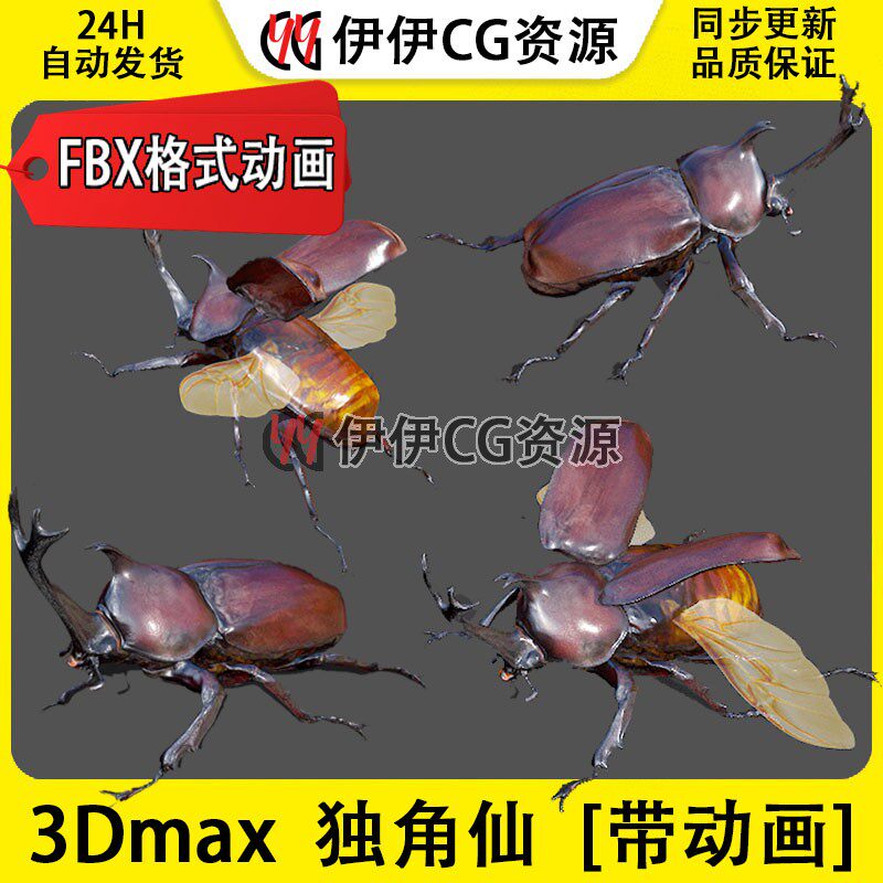3D模型3DMax动物昆虫独角仙犀牛甲虫FBX动画文件beetle双叉犀金龟