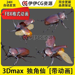 3D模型3DMax动物昆虫独角仙犀牛甲虫FBX动画文件beetle双叉犀金龟