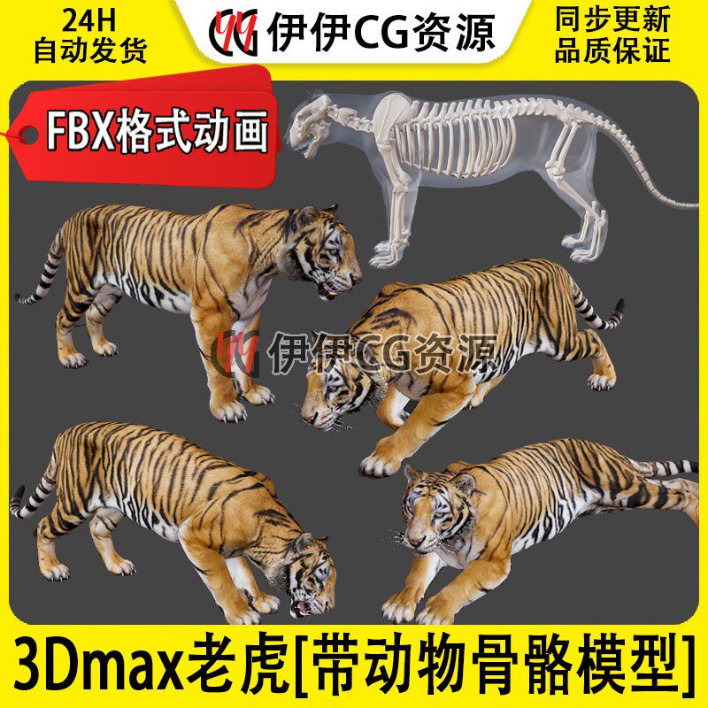 3D模型3DMax动物模型3D老虎猛虎东北FBX动画文件Tiger带骨骼模型