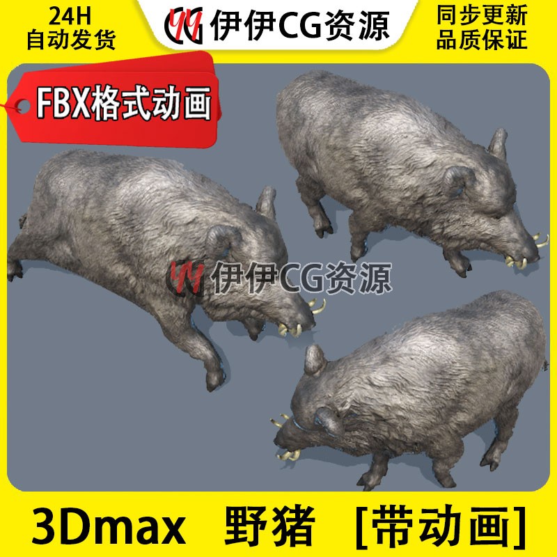 3D模型3DMax动物模型3D野猪FBX动画文件Boar豪猪山猪Unity猪pig