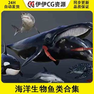 OCEAN ANIMALS VOL 海洋生物鱼类模型合集 PACK UE5虚幻5.3