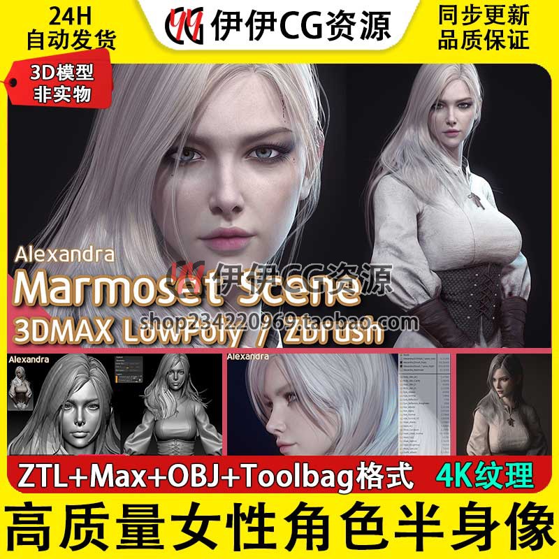 3D模型3Dmax次世代Zbrush写实欧美女角色头像半身像zb雕刻obj ztl