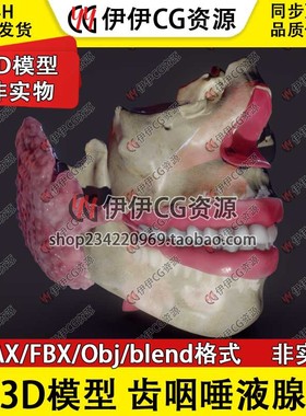 3D模型3Dmax医学模型Blend口腔嘴唇唾液腺腮腺下颌下腺舌下腺FBX