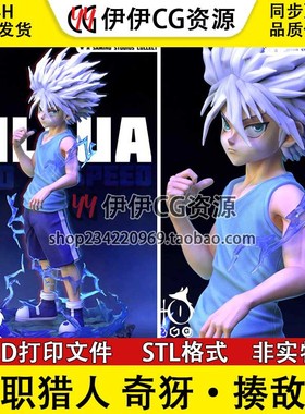 奇犽·揍敌客Killua Zoldyck《全职猎人》3D打印模型STL素材文件