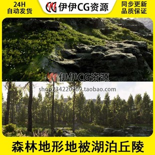 Pro 虚幻4 Landscape ue4 自然森林地形地被湖泊丘陵游戏场景