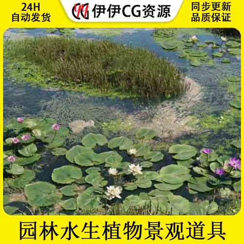 UE5虚幻4景观植物水生植物 Plant Models Vol 39