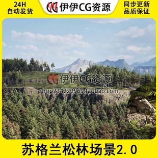 UE5虚幻5 RealBiomes Scots Pine Forest V2 苏格兰松林场景2.0