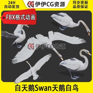 3DMax动物模型3D模型白天鹅Swan天鹅白鸟飞禽保护动物FBX动画文件