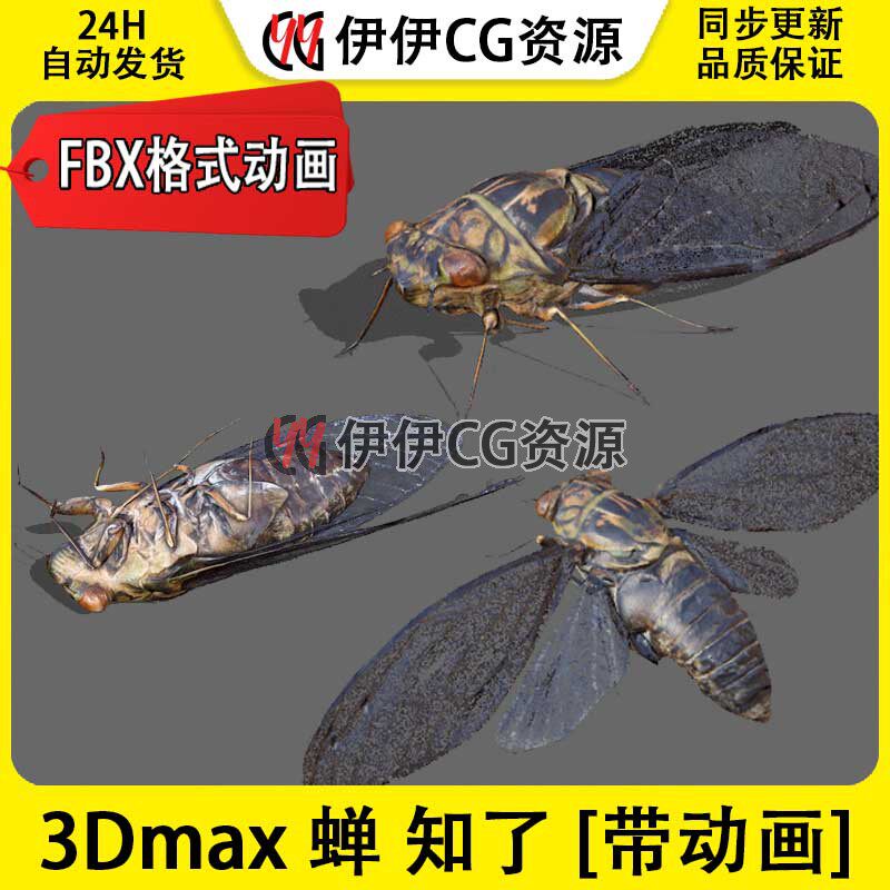 3D模型3DMax动物模型蝉知了昆虫FBX动画文件cicada飞虫哔蝉蒙皮