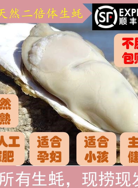 乳山野生生蚝鲜活10斤一箱保肥包邮特大带壳牡蛎即食海蛎威海海鲜